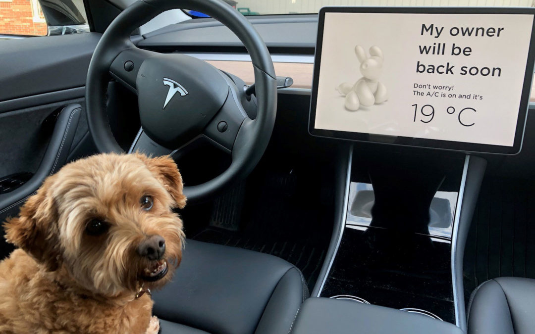 Tesla Dog Mode - OntarioCars.ca